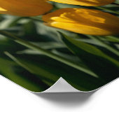 Tulpen 3 poster (Hoek)