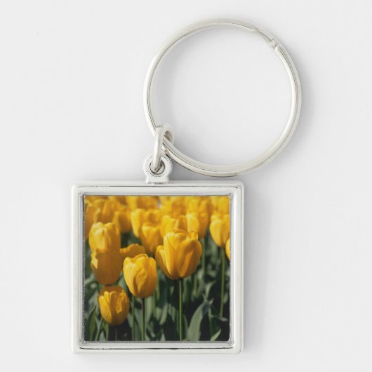 Tulpen 3 sleutelhanger (Voorkant)