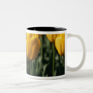 Tulpen 3 tweekleurige koffiemok