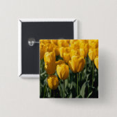 Tulpen 3 vierkante button 5,1 cm (Voorkant /achterkant)
