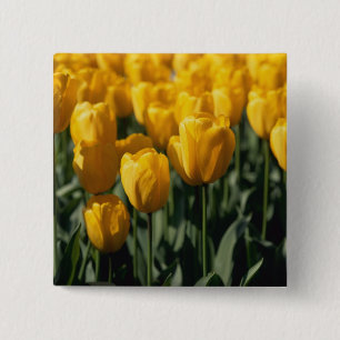 Tulpen 3 vierkante button 5,1 cm