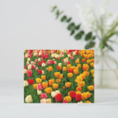 Tulpen 5 Briefkaart (Staand voorkant)