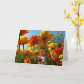 Tulpen 8 Leeg Wenskaart Kaart (Gele Bloem)