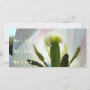 Tulpen Bedankingskaart Bedankingskaart Bedankingen Bedankkaart