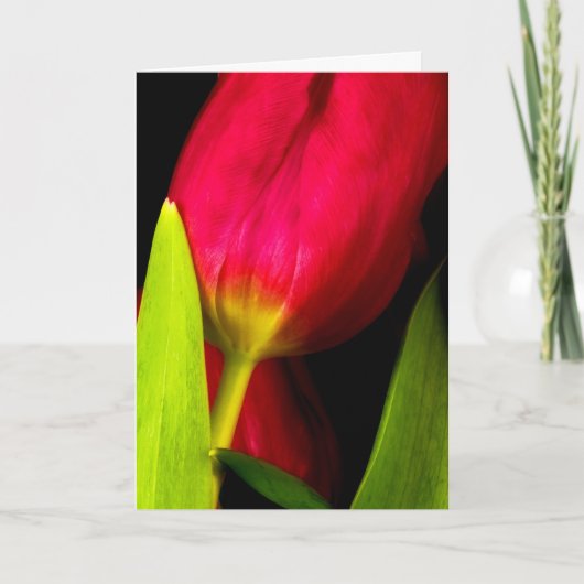 Tulpen Bedankkaart (Voorkant)