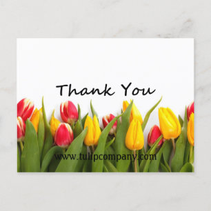 Tulpen Bedankt Post Kaart