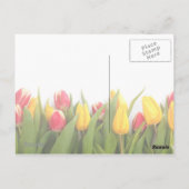 Tulpen Bedankt  Post Kaart (Achterkant)