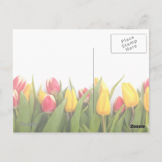 Tulpen Bedankt  Post Kaart (Achterkant)