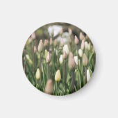 Tulpen beginnen te bloeien magneet (Voorkant)