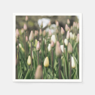 Tulpen beginnen te bloeien servet