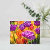 Tulpen Betoverend 12a Briefkaart (Staand voorkant)