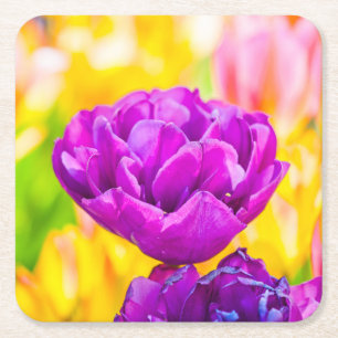 Tulpen Betoverend 15 Kartonnen Onderzetters