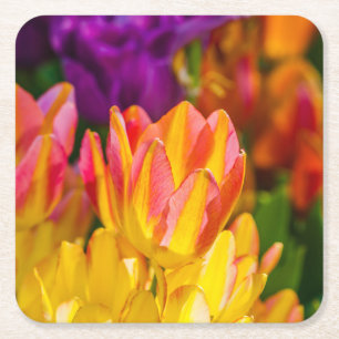 Tulpen Betoverend 16 Kartonnen Onderzetters