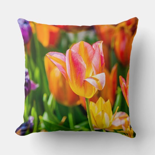 Tulpen Betoverend 17 Kussen (Voorkant)