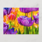 Tulpen Betoverend Diep Roze Briefkaart (Voorkant)