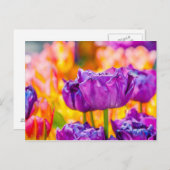 Tulpen Betoverend Paars Briefkaart (Voorkant / Achterkant)