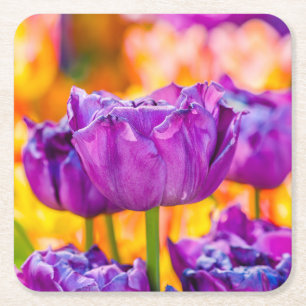 Tulpen Betoverend Paars Kartonnen Onderzetters