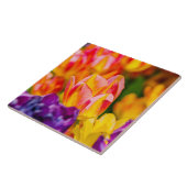 Tulpen Betoverend Tegeltje (Zijkant)