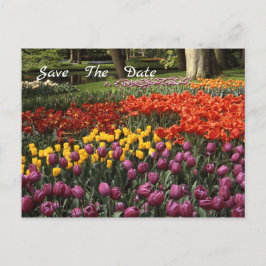 Tulpen Bewaar het Briefkaart van de datumbekendmak