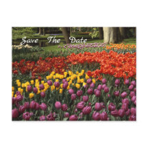 Tulpen Bewaar het Briefkaart van de datumbekendmak