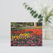 Tulpen Bewaar het Briefkaart van de datumbekendmak (Staand voorkant)