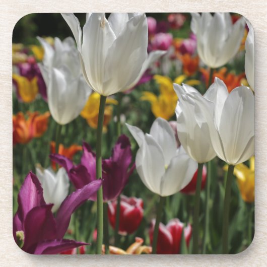 Tulpen Bier Onderzetter (Voorkant)