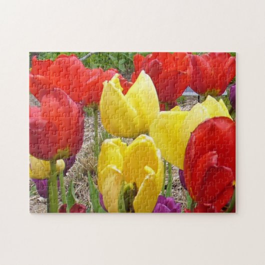 Tulpen bij de tuinpuzzel legpuzzel (Horizontaal)