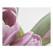 Tulpen bloeien foto afdruk (Voorkant)