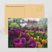 Tulpen bloeien in Forest Park, Indiana Briefkaart (Voorkant / Achterkant)