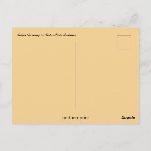 Tulpen bloeien in Forest Park, Indiana Briefkaart (Achterkant)