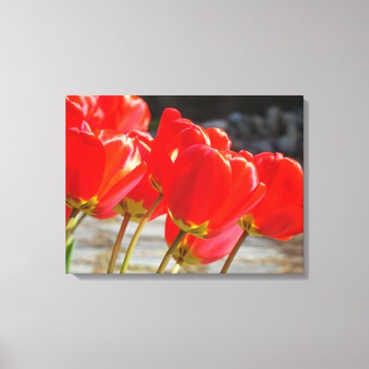 Tulpen Bloem kunstprint canvas Rode Tulp Bloemen Afdruk (Voorkant)