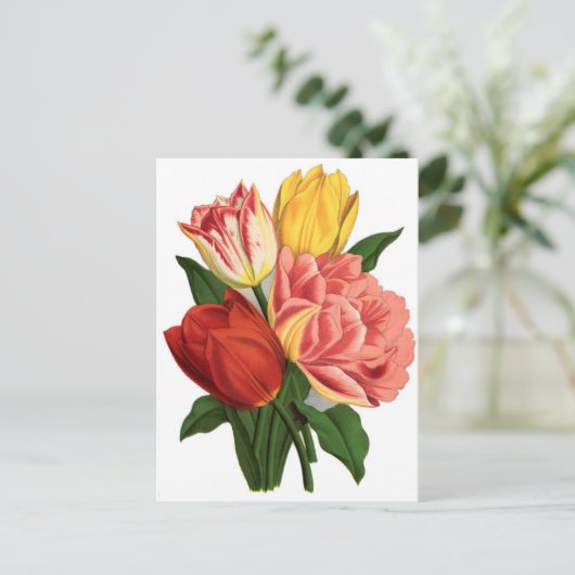 Tulpen bloesems  wijnstokken mooie bloemen briefkaart (Staand voorkant)