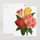 Tulpen bloesems  wijnstokken mooie bloemen briefkaart (Voorkant / Achterkant)