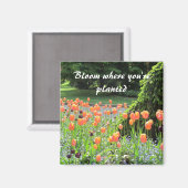 Tulpen - Bloom waar je bent geplant Magneet (Voorkant / Achterkant)