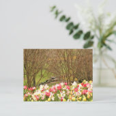 tulpen/bomen briefkaart (Staand voorkant)