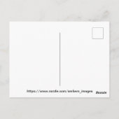 tulpen/bomen briefkaart (Achterkant)