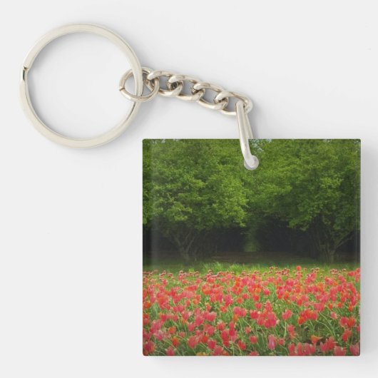 Tulpen & Bomen Sleutelhanger (voorkant)
