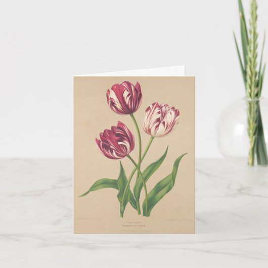 Tulpen botanische kunst bedankkaart (Voorkant)