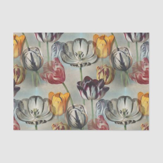  Tulpen botanische ontledingsvaartuigen Tissuepapier (Voorkant)