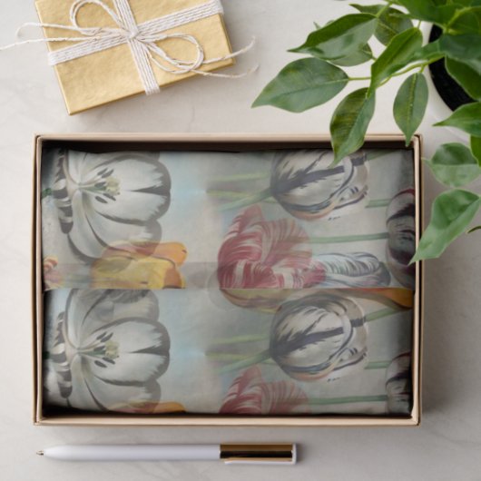  Tulpen botanische ontledingsvaartuigen Tissuepapier (Geschenk)