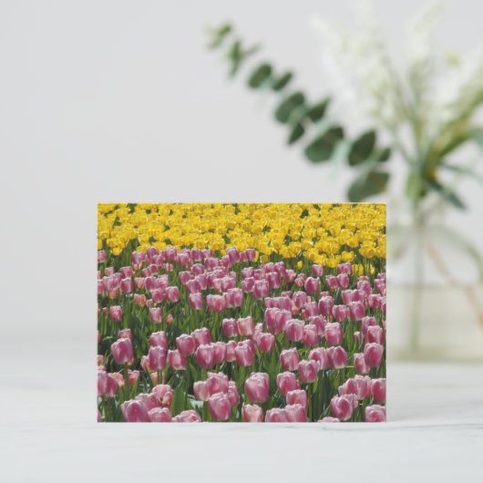 Tulpen Briefkaart (Staand voorkant)