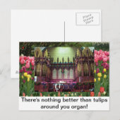 Tulpen Briefkaart (Voorkant / Achterkant)