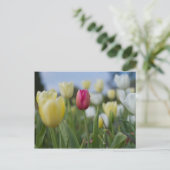 Tulpen Briefkaart (Staand voorkant)