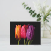 tulpen briefkaart (Staand voorkant)