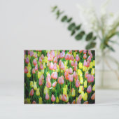 tulpen briefkaart (Staand voorkant)
