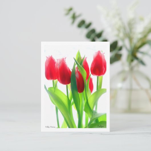 Tulpen Briefkaart (Staand voorkant)