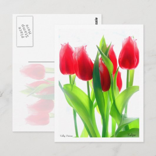 Tulpen Briefkaart (Voorkant / Achterkant)