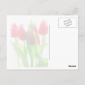 Tulpen Briefkaart (Achterkant)