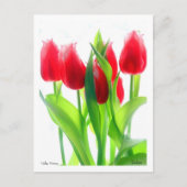 Tulpen Briefkaart (Voorkant)