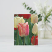 Tulpen Briefkaart (Staand voorkant)